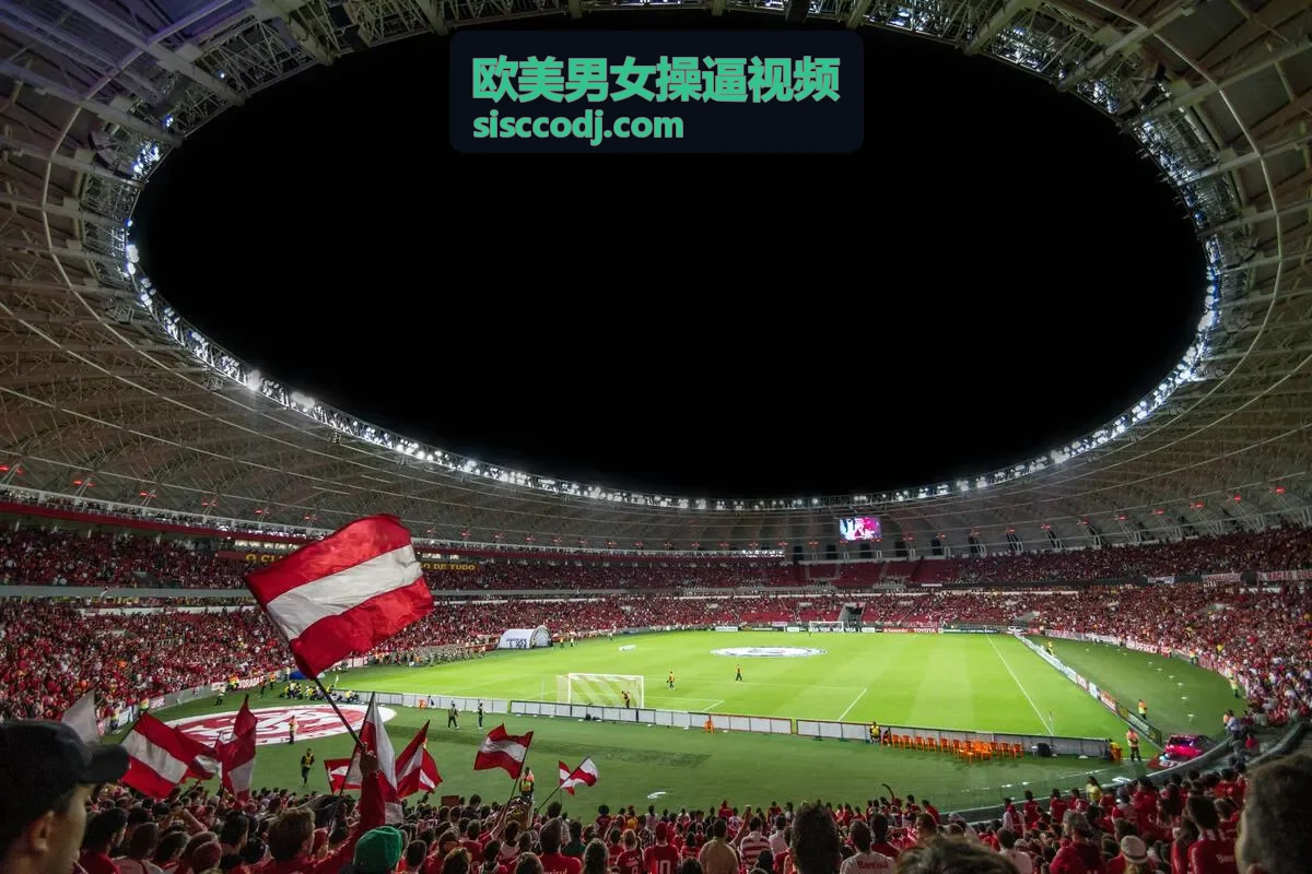 欧美情侣高清热舞视频